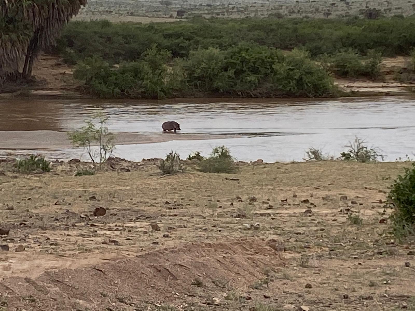 Samburu