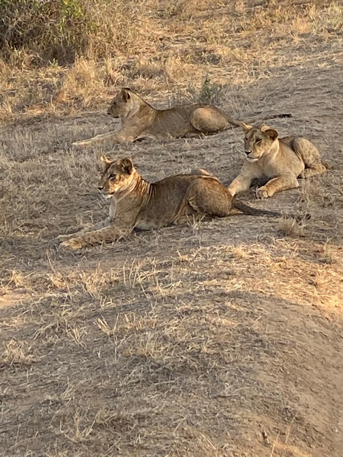 Tsavo West