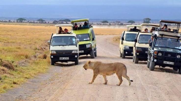 Tsavo East3