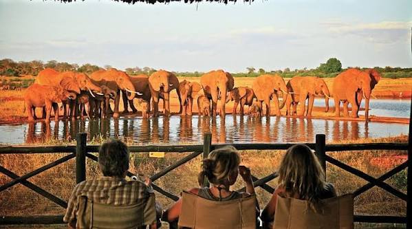 1½ DAYS TSAVO EAST – TAHRI / WILDLIFE LODGE