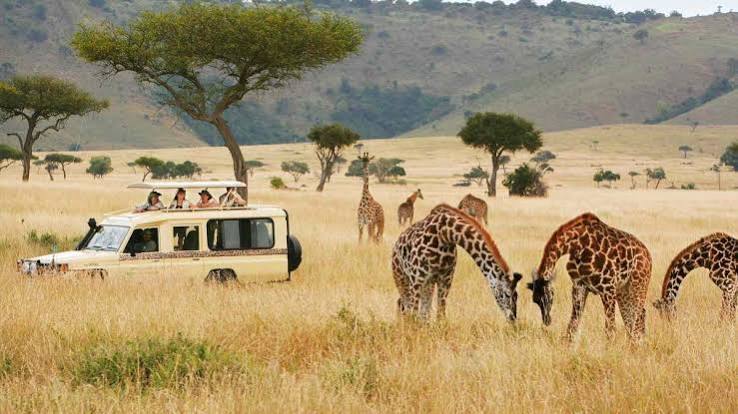 1 DAY TSAVO EAST